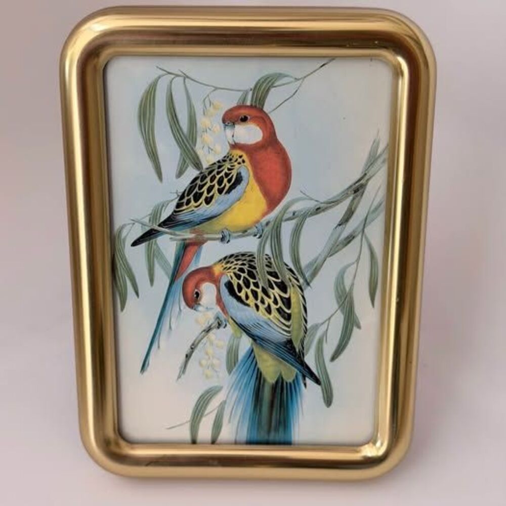 SOLID BRASS Lacquer Coated Picture Frame 3.5x5 Tarnish Resistant Korea Parrot
